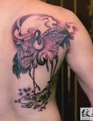水墨风丹顶鹤纹身图案