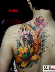 半背肩部传统鲤鱼纹身
