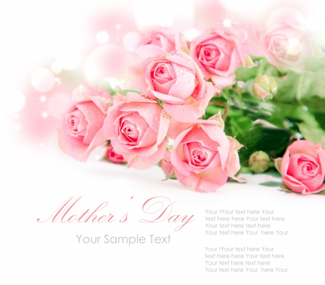 点击大图看下一张：母亲节玫瑰花图片