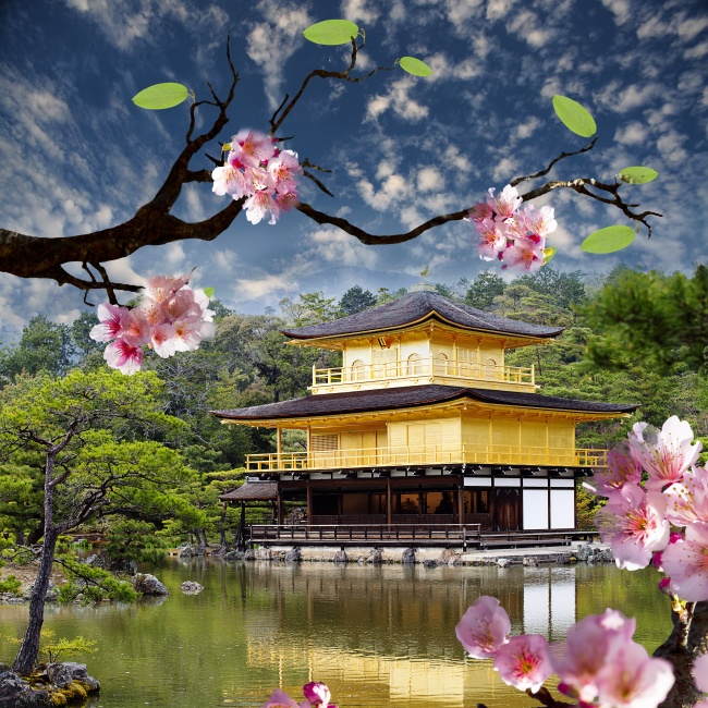点击大图看下一张：樱花风景建筑高清图片