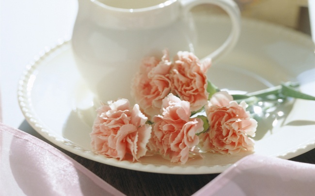 点击大图看下一张：小清新康乃馨高清图片