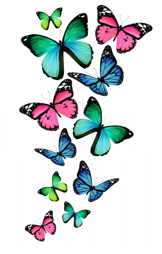 点击大图看下一张：唯美彩色卡通蝴蝶图片素材