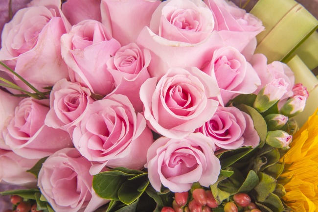 点击大图看下一张：粉色香槟玫瑰花束高清图片