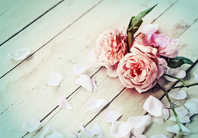点击大图看下一张：木板上的玫瑰花高清图片