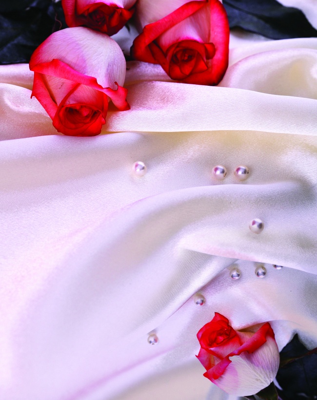 点击大图看下一张：七夕情人节玫瑰花高清图片