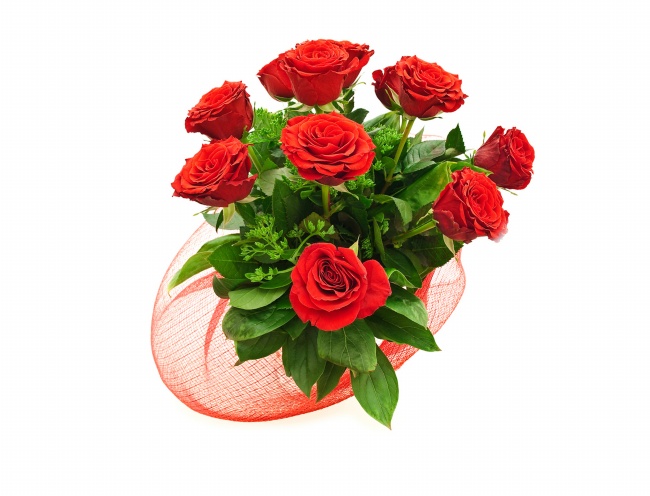 点击大图看下一张：情人节红玫瑰花图片下载