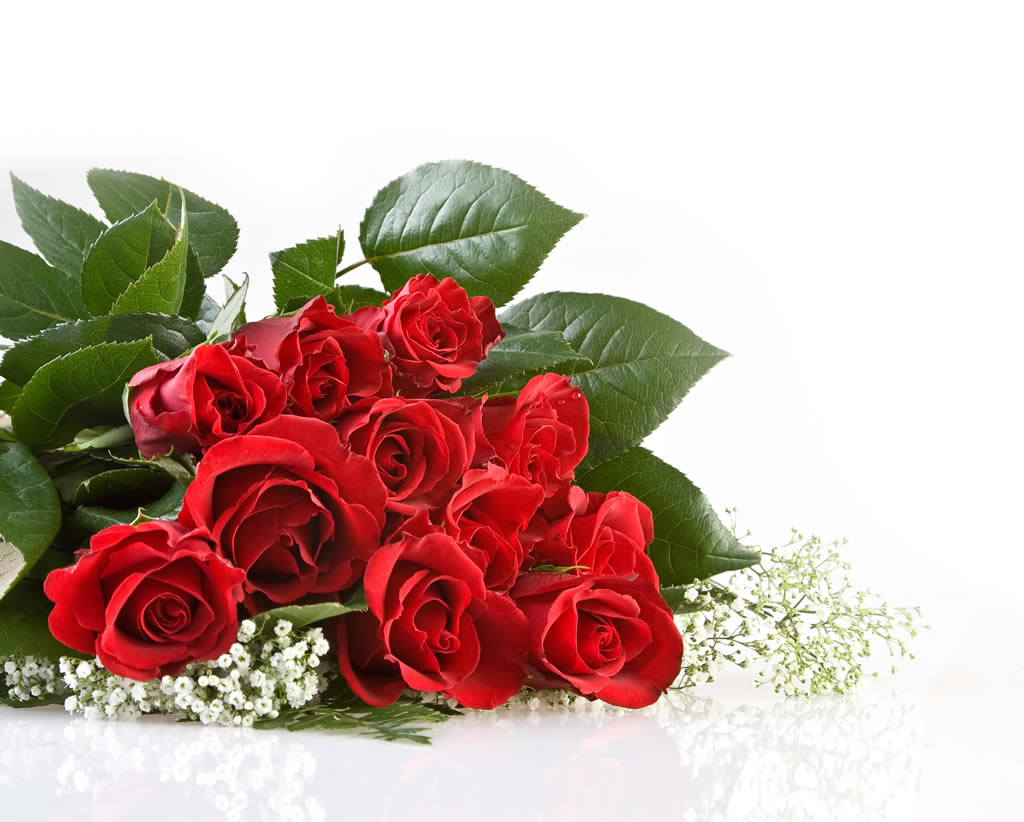 点击大图看下一张：鲜红玫瑰花束高清图片