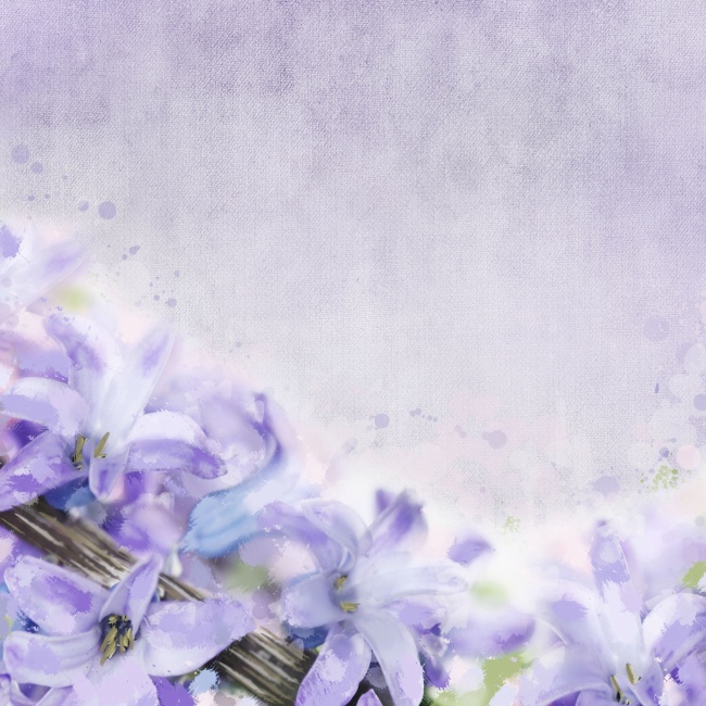 点击大图看下一张：唯美紫色百合花图片