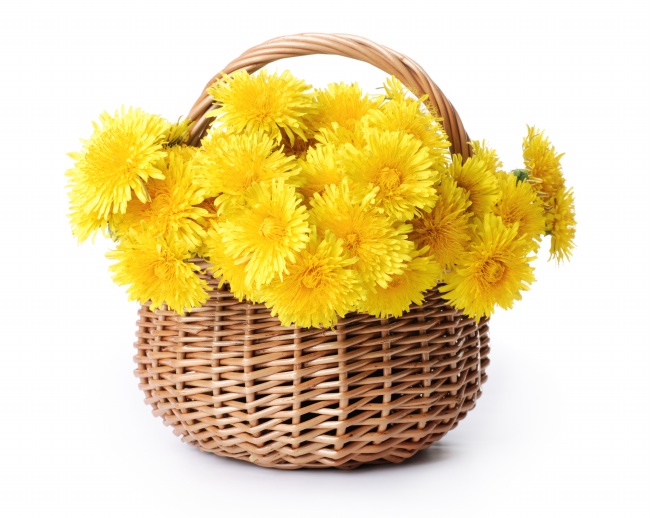点击大图看下一张：一篮子黄色菊花图片