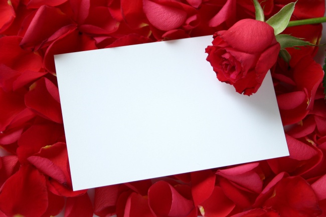 点击大图看下一张：情人节卡片和玫瑰花图片