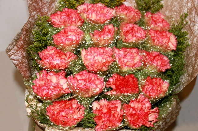 点击大图看下一张：妇女节康乃馨花束图片
