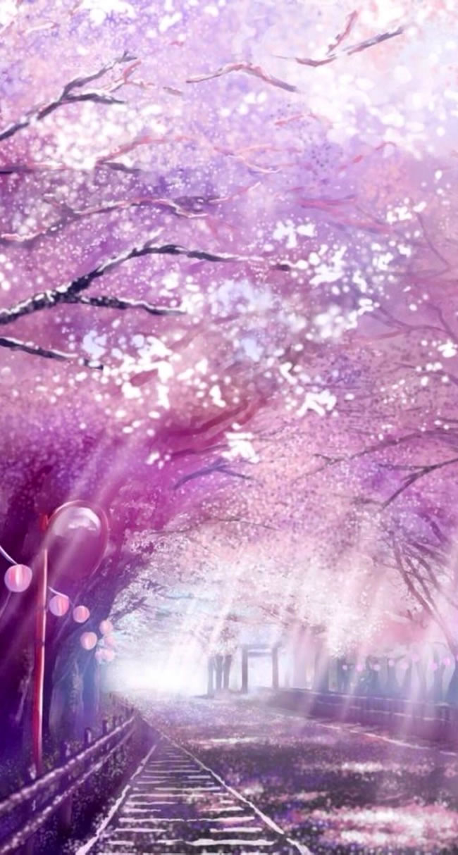 点击大图看下一张：唯美紫色樱花背景图片