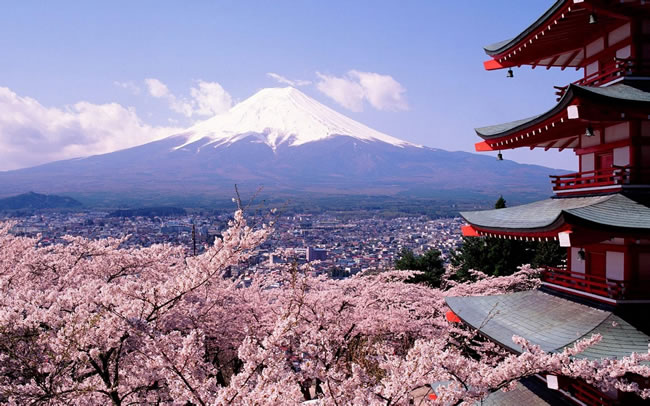 点击大图看下一张：日本富士山樱花风景图片