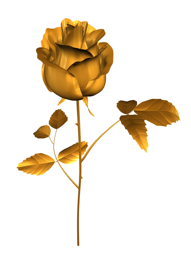 点击大图看下一张：高清金玫瑰花图片
