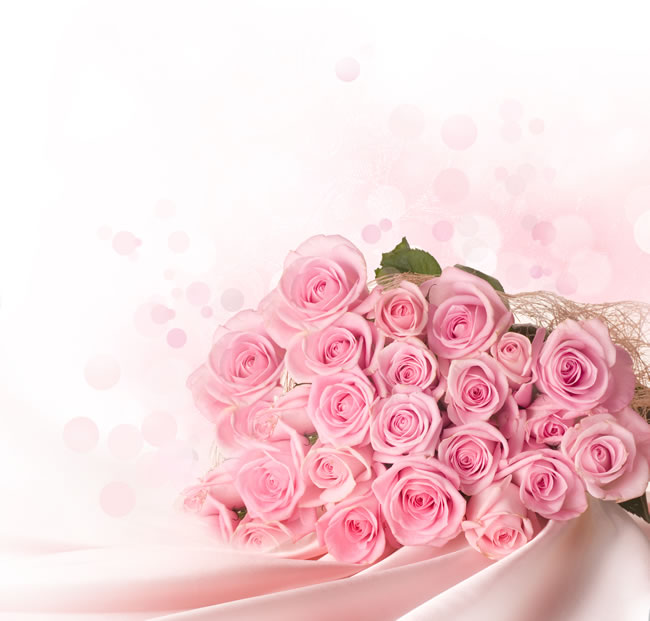 点击大图看下一张：粉色玫瑰花图片