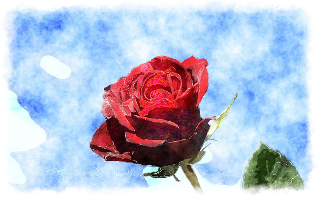 点击大图看下一张：水彩玫瑰花图片