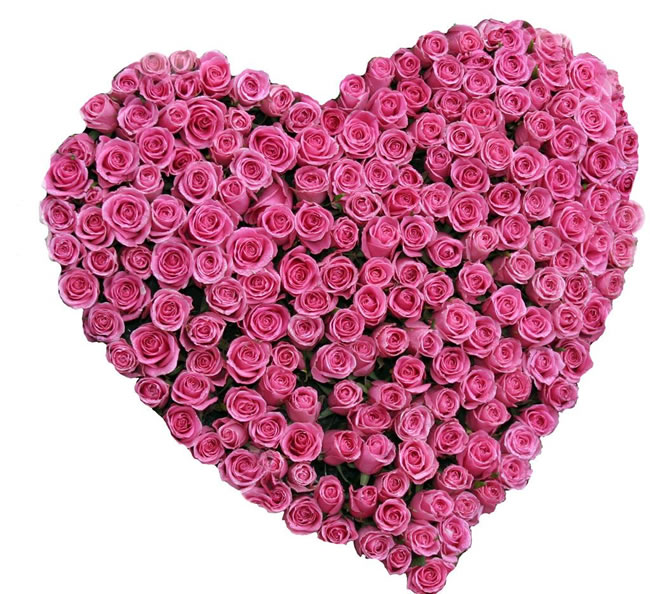 点击大图看下一张：心形玫瑰花花束图片