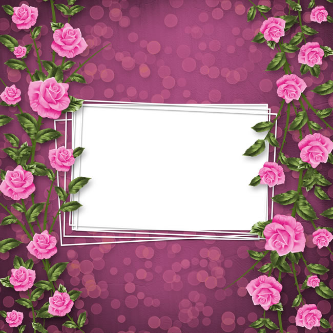 点击大图看下一张：玫瑰花纹边框图片