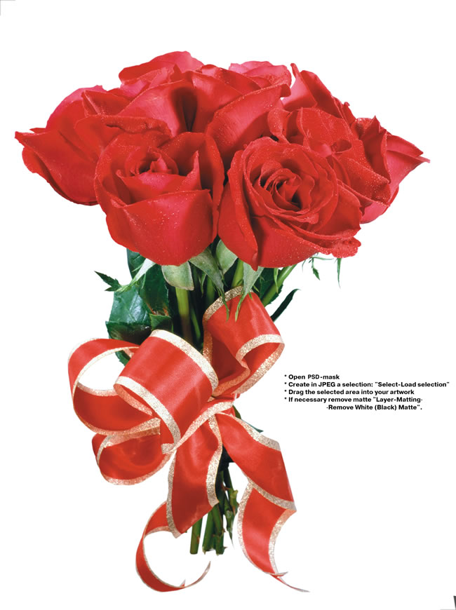 点击大图看下一张：美丽的玫瑰花图片