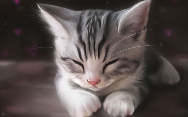 点击大图看下一张：可爱的手绘猫咪图片