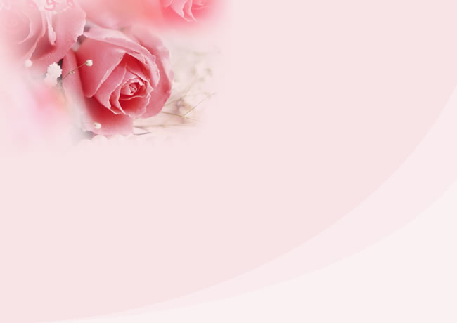 点击大图看下一张：唯美粉色玫瑰花背景图片