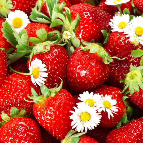 点击大图看下一张：草莓水果高清图片素材大全