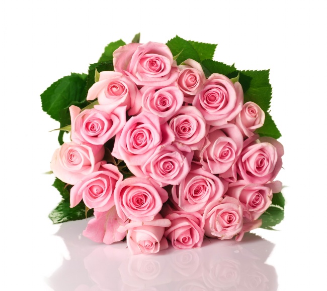 点击大图看下一张：一束浪漫玫瑰花空白图片素材