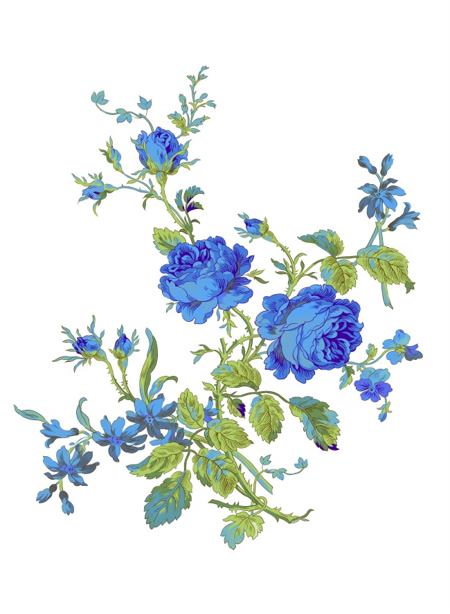 点击大图看下一张：高清手绘蓝牡丹花图片