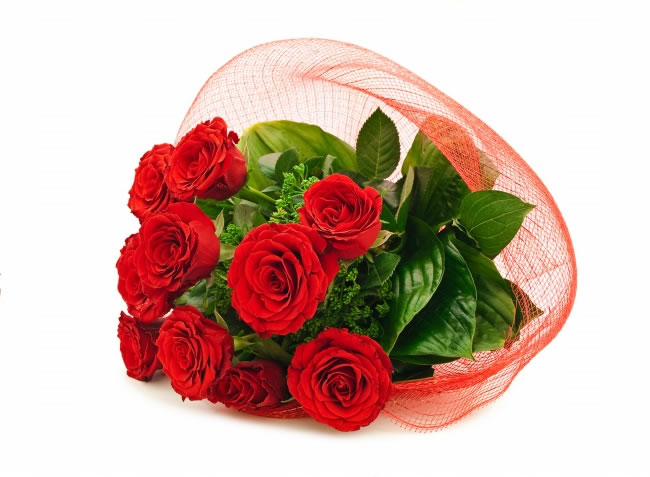点击大图看下一张：情人节红玫瑰花图片