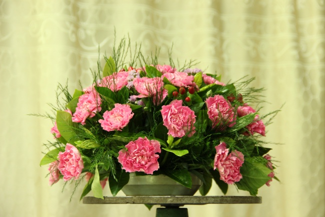 点击大图看下一张：康乃馨高清图片