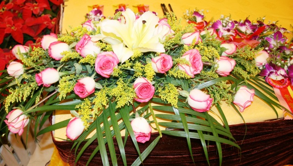 点击大图看下一张:高清玫瑰花图片下载