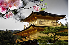 日式建筑图片