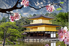 樱花风景建筑高清图片