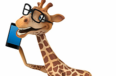 3D卡通长颈鹿图片素材