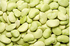 绿色蚕豆高清图片