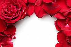 红色玫瑰花框高清图片素材