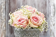 粉色玫瑰花束高清图片下载