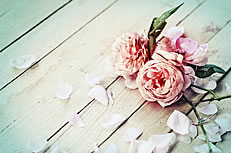 木板上的玫瑰花高清图片