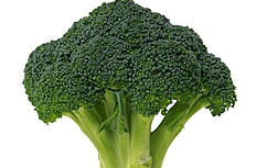 绿色蔬菜西兰花高清图片