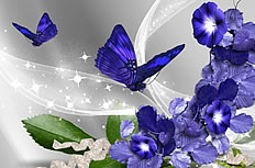 紫色鲜花蝴蝶图片素材