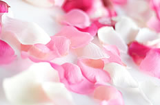 粉红玫瑰花瓣高清图片