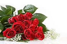 鲜红玫瑰花束高清图片