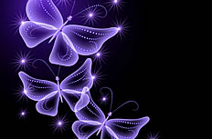 紫色梦幻蝴蝶图片