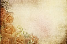 复古怀旧玫瑰花背景图片