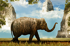神话大象图片