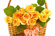 一篮子黄色玫瑰花图片