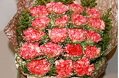 妇女节康乃馨花束图片