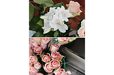 玫瑰百合花束图片