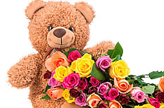 泰迪熊与玫瑰花图片