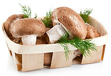 高清木框里的香菇蔬菜图片素材
